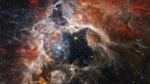 NASA’s James Webb Space Telescope captures thousands of never-before-seen young stars in the Tarantula Nebula